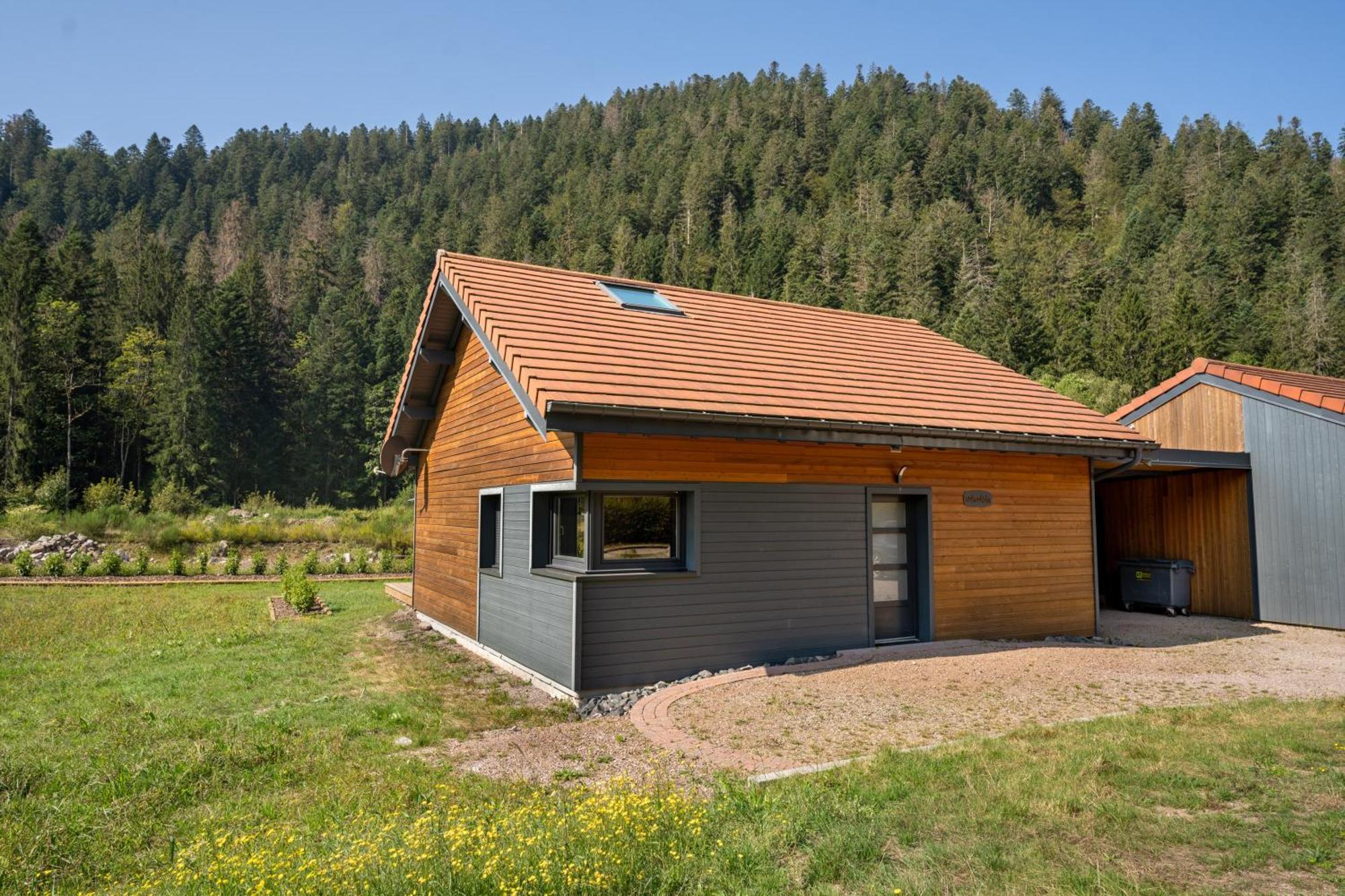 Chalet Nemesia Avec Spa A Gérardmer Eksteriør billede